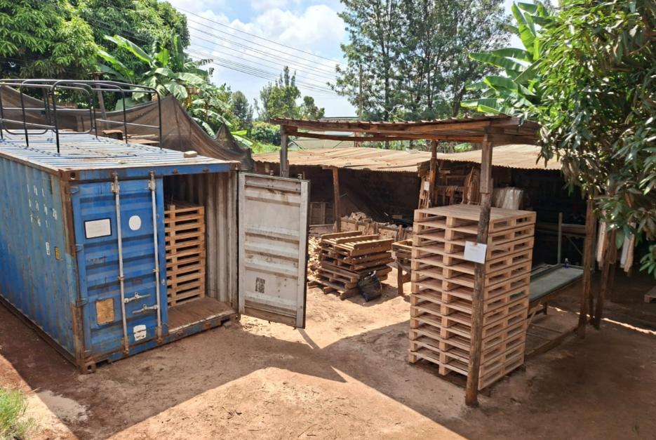 Sasfino's heat treatment kiln and timber yard