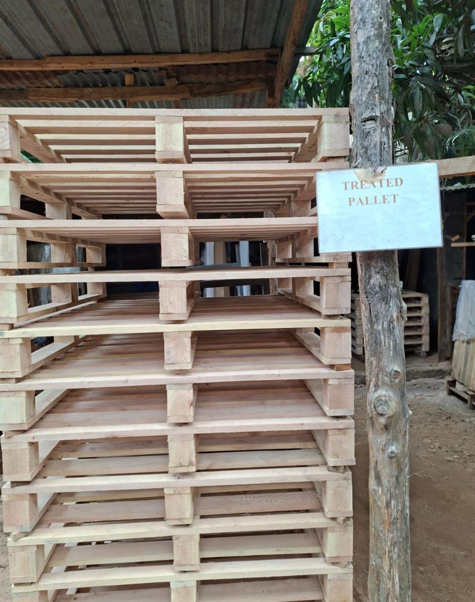 Stacked, heat-treated Sasfino pallets ready for export